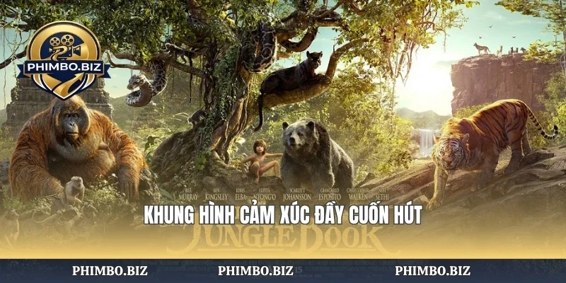 Khung hình cảm xúc đầy cuốn hút